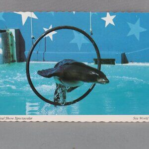 Vintage Postcard - Seal Supershow Sea World Sna Diego - Continental Card